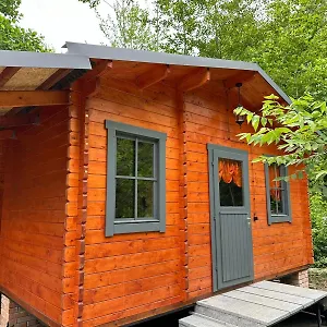 Дом отдыха Dream House, Батуми